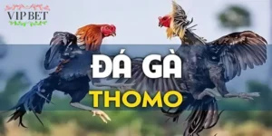 da-ga-thomo-2